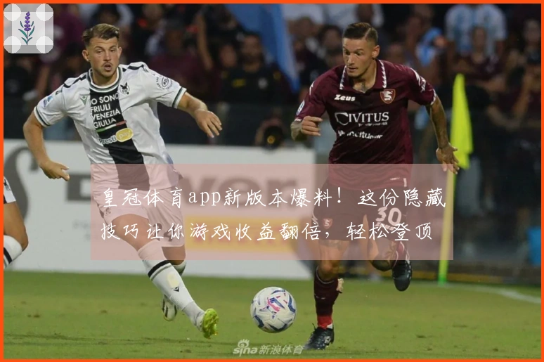 皇冠体育app新版本爆料！这份隐藏技巧让你游戏收益翻倍，轻松登顶！