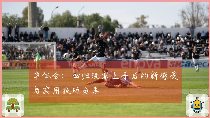 华体会：回归玩家上手后的新感受与实用技巧分享