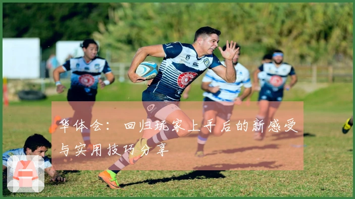 华体会：回归玩家上手后的新感受与实用技巧分享